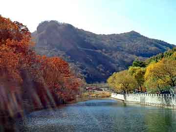 澳门精准正版免费大全14年新，火山石产地